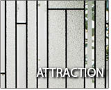 Attraction