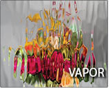 Vapor